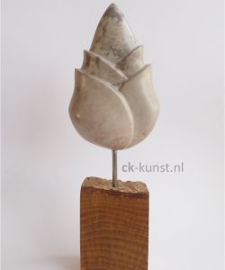 LENTE Beeld lente van kisii stone