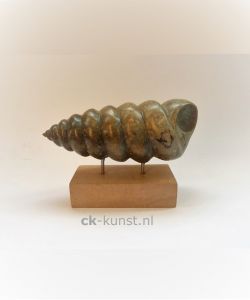 TURRITELLA